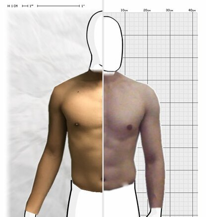 Torso Comparison