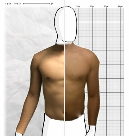 Torso Comparison