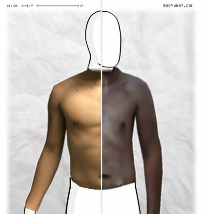 Torso Comparison