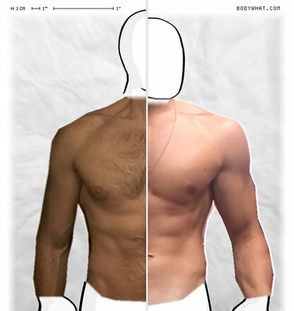 Torso Comparison