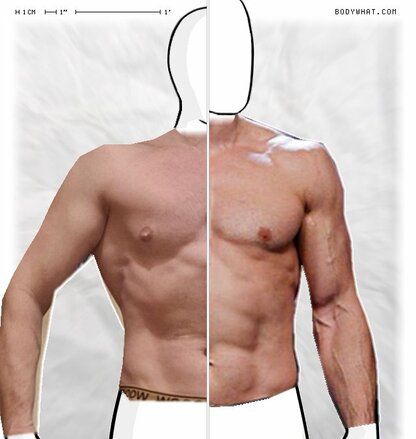 Torso Comparison