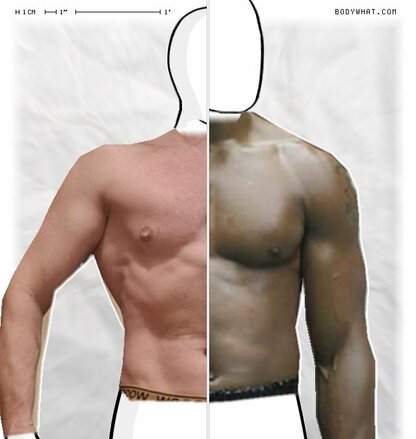 Torso Comparison