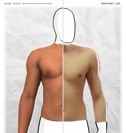 Torso Comparison