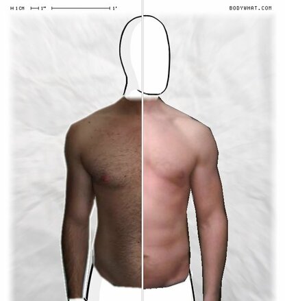 Torso Comparison