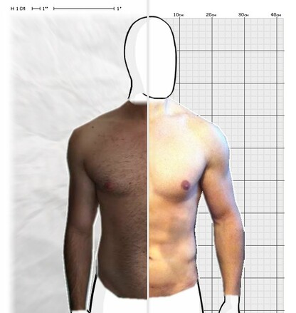 Torso Comparison