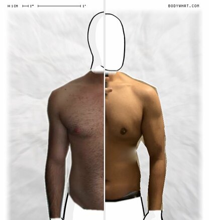 Torso Comparison