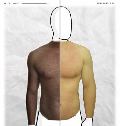 Torso Comparison