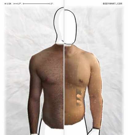 Torso Comparison