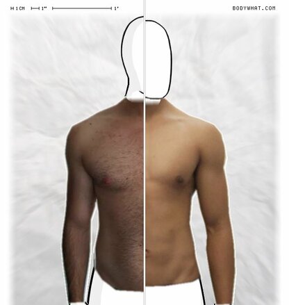 Torso Comparison