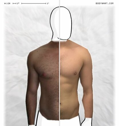 Torso Comparison