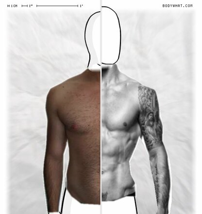 Torso Comparison