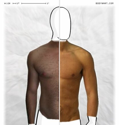 Torso Comparison