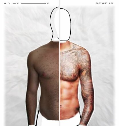 Torso Comparison