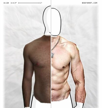 Torso Comparison