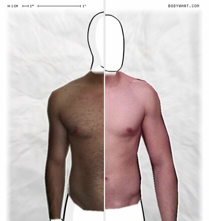 Torso Comparison