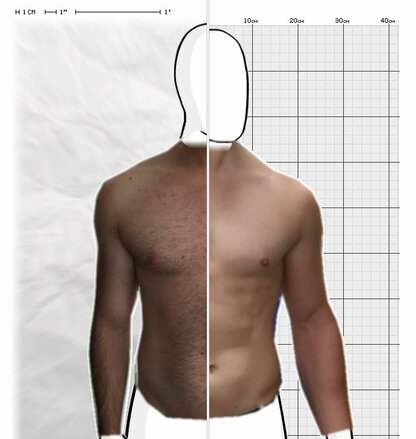 Torso Comparison