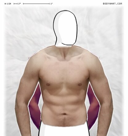 For Real Vs What S My Body Fat Percentage Bodywhat