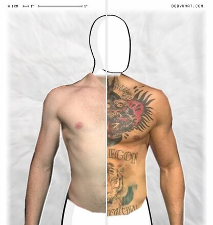 Torso Comparison