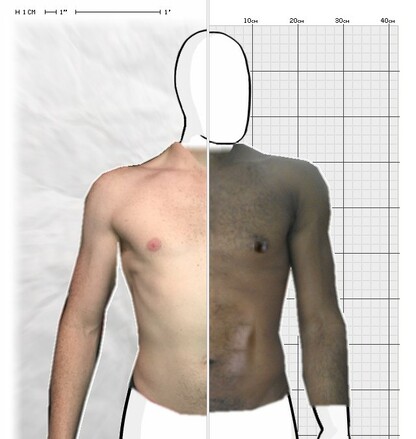 Torso Comparison