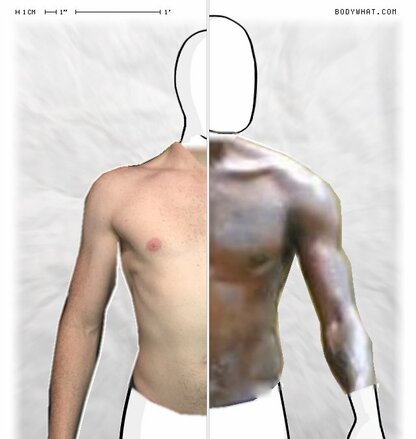 Torso Comparison