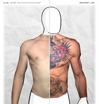 Torso Comparison