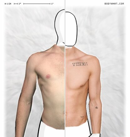 Torso Comparison