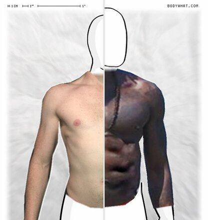Torso Comparison