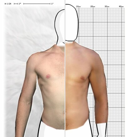 Torso Comparison