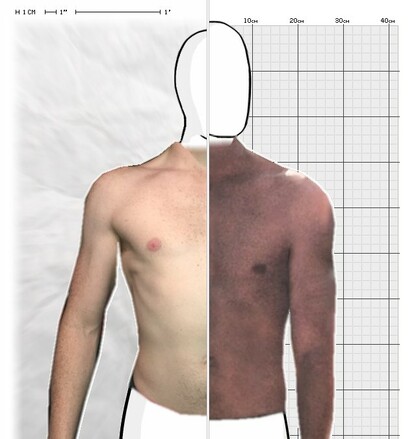 Torso Comparison