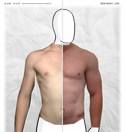 Torso Comparison