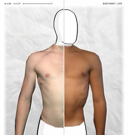 Torso Comparison