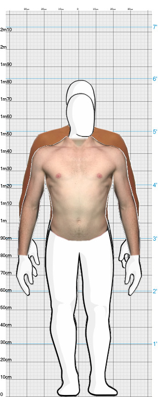 Full Size Comparison
