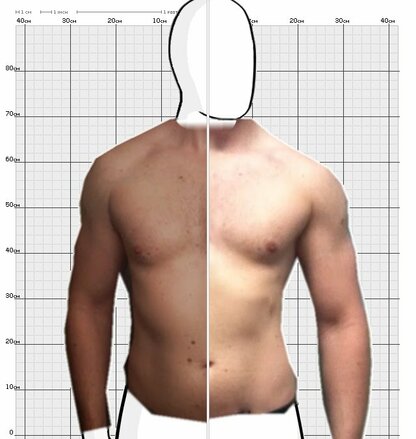 Torso Comparison