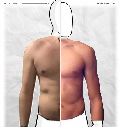 Torso Comparison