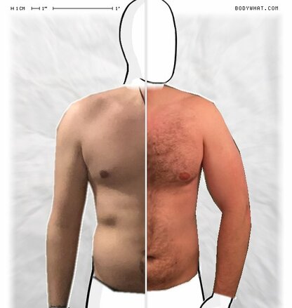 Torso Comparison