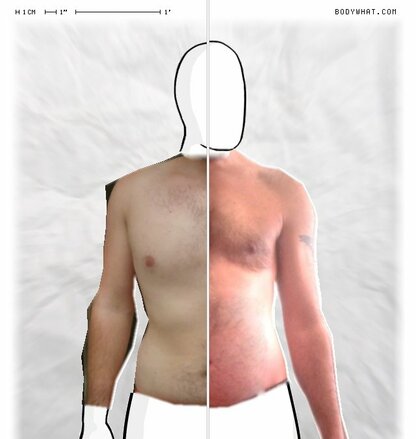 Torso Comparison