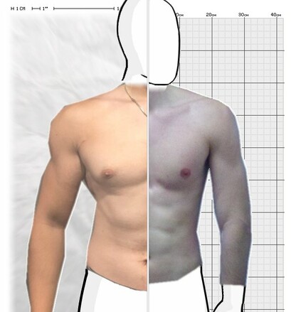 Torso Comparison