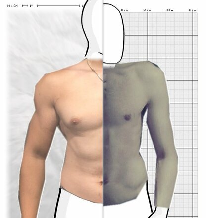 Torso Comparison