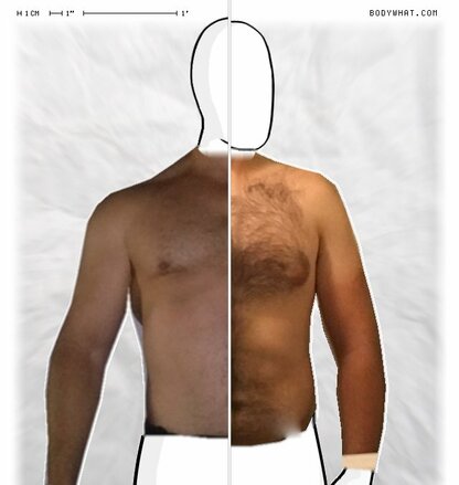 Torso Comparison