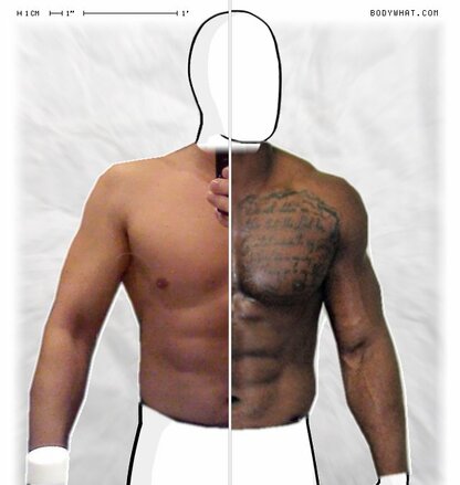 Torso Comparison