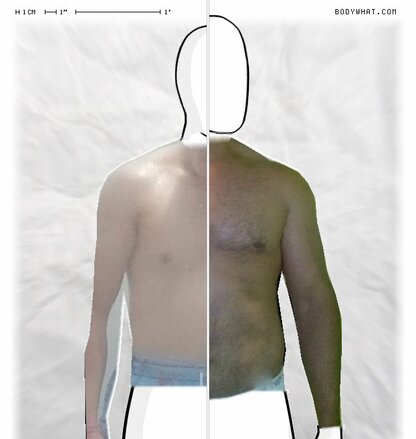 Torso Comparison