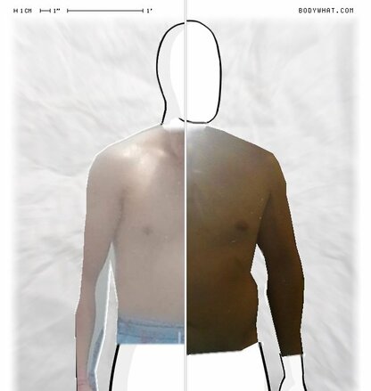 Torso Comparison
