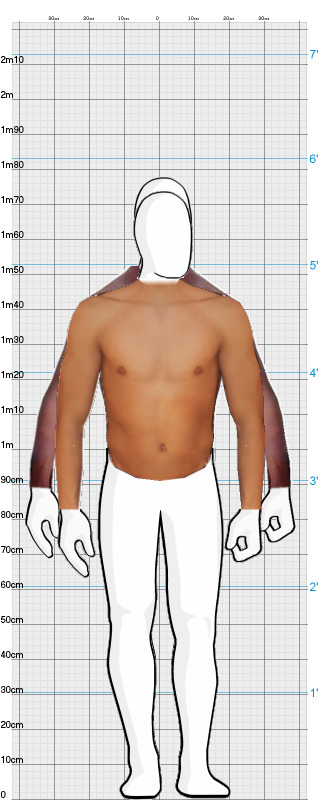 Full Size Comparison