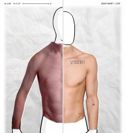 Torso Comparison