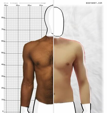 Torso Comparison