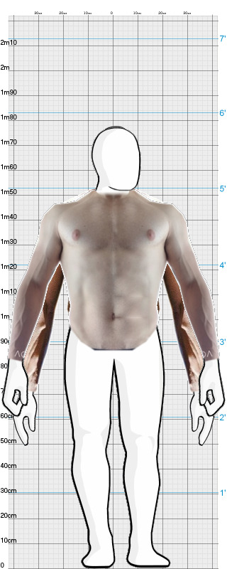 Full Size Comparison