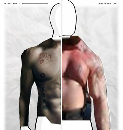 Torso Comparison