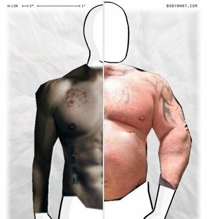 Torso Comparison