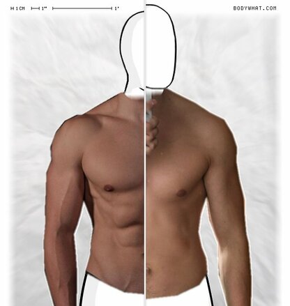 Torso Comparison