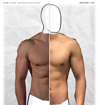 Torso Comparison